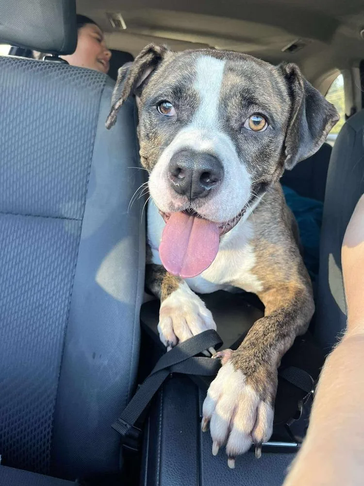 Westin A 🇨🇦 💜 thumbnail 3