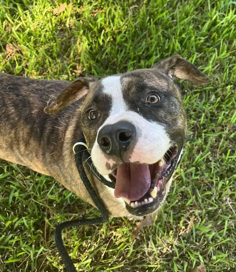 Westin A 🇨🇦 💜 thumbnail 4