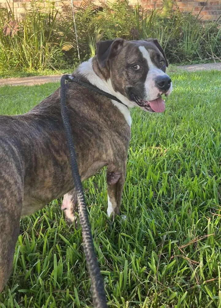 Westin A 🇨🇦 💜 thumbnail 5