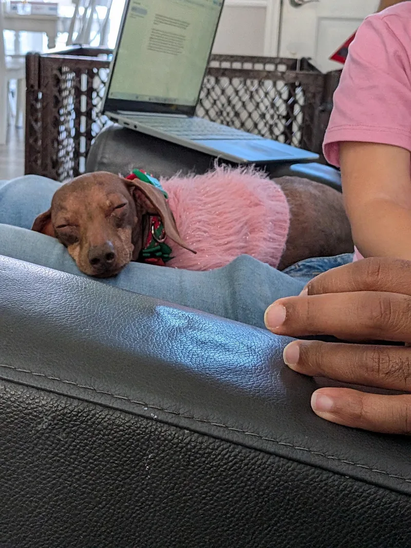 Molly thumbnail 3