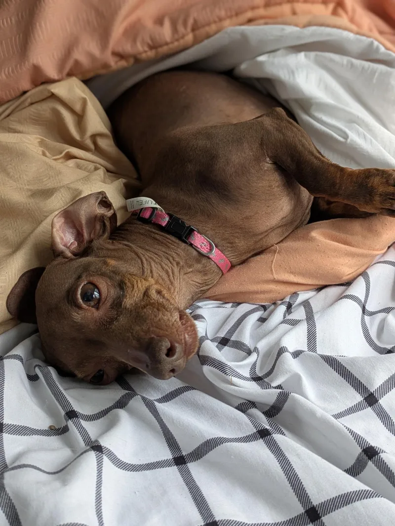 Molly thumbnail 6