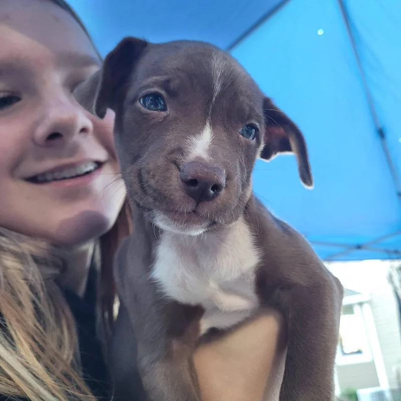 Roxy thumbnail 2