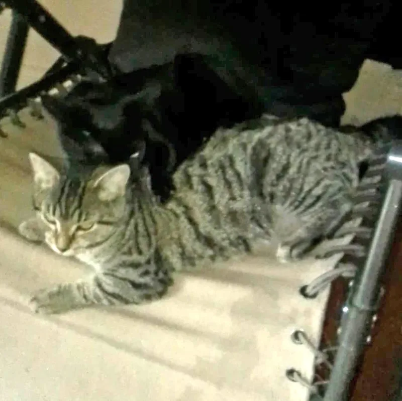 Celine B thumbnail 2