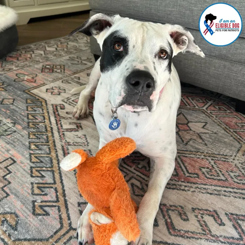 Willowdean thumbnail 2