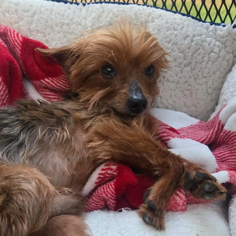 Kusner