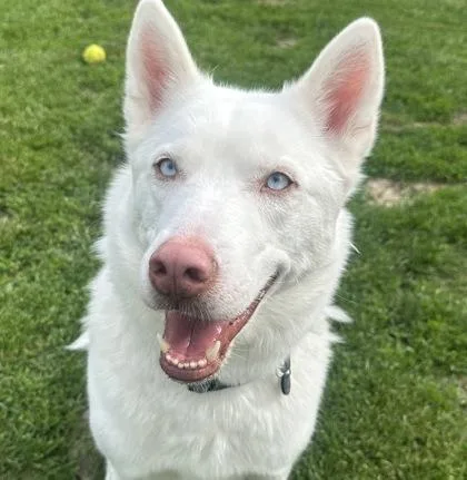 Alaska
