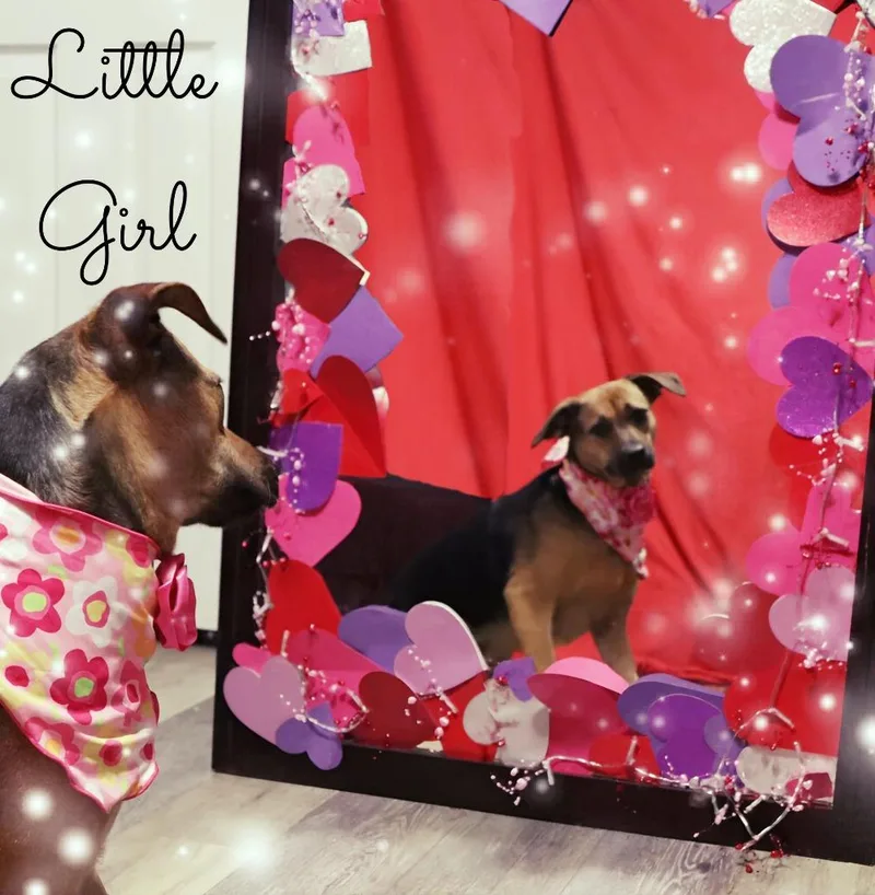 Little Girl