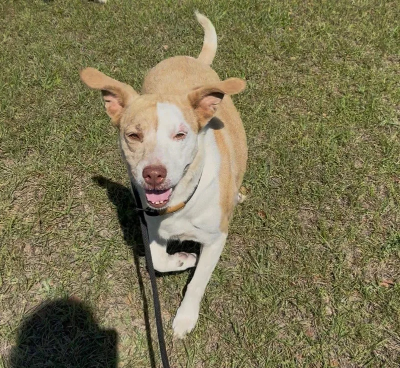 Libby Dixon thumbnail 2