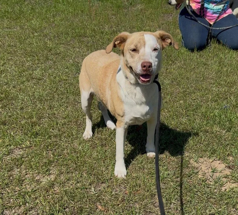 Libby Dixon thumbnail 3