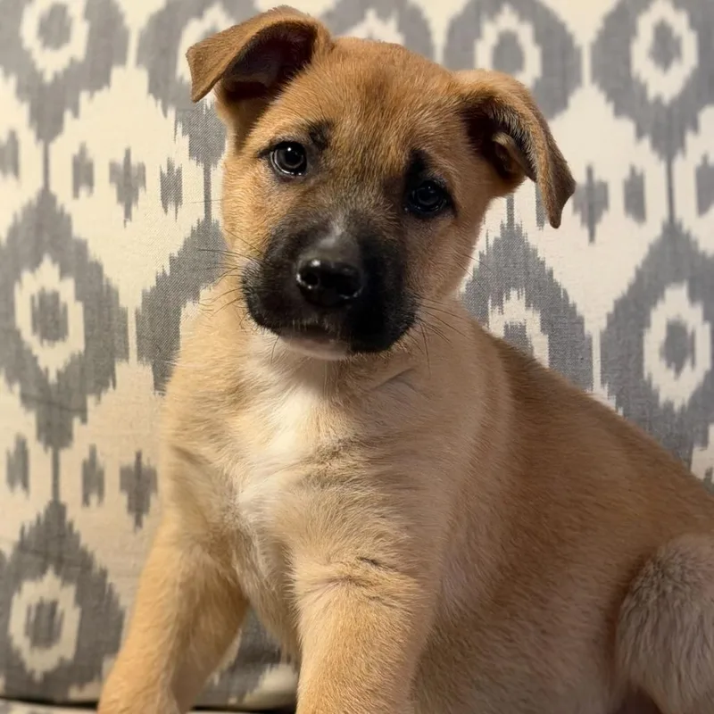 Spongebob thumbnail 5