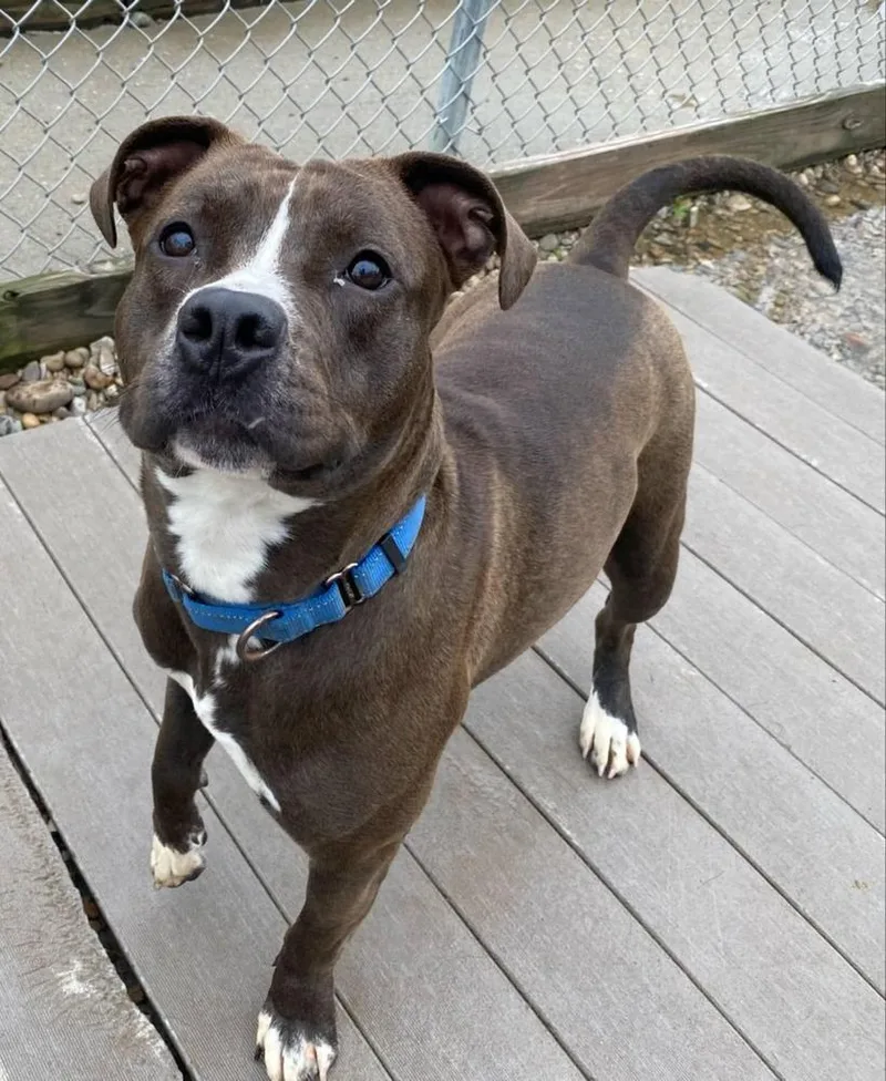 Daisy Leah thumbnail 4