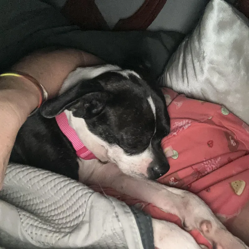 Greta Gremlin thumbnail 3