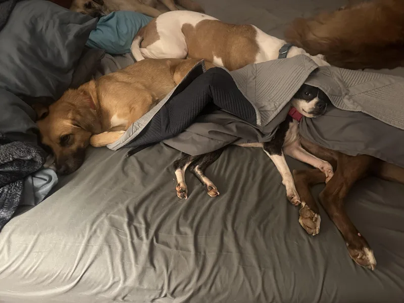 Greta Gremlin thumbnail 4