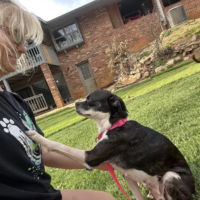 Greta Gremlin thumbnail 5