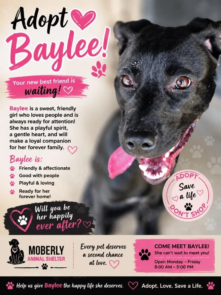 Baylee thumbnail 2