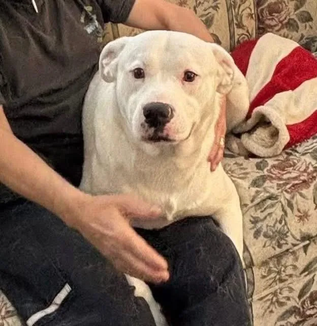 Casper