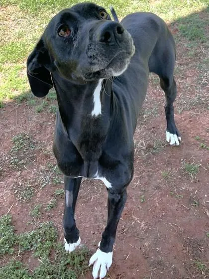 Lucy
