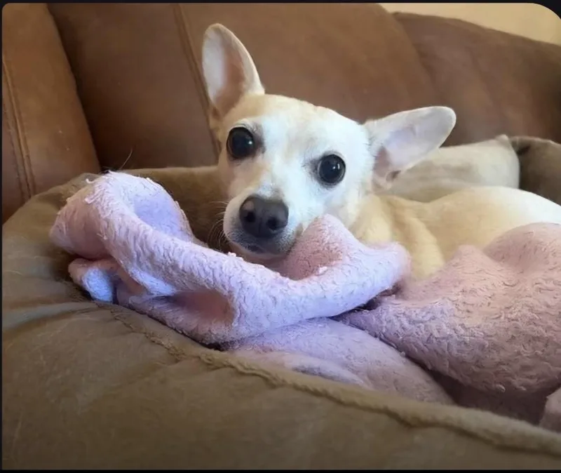 CoCo thumbnail 2