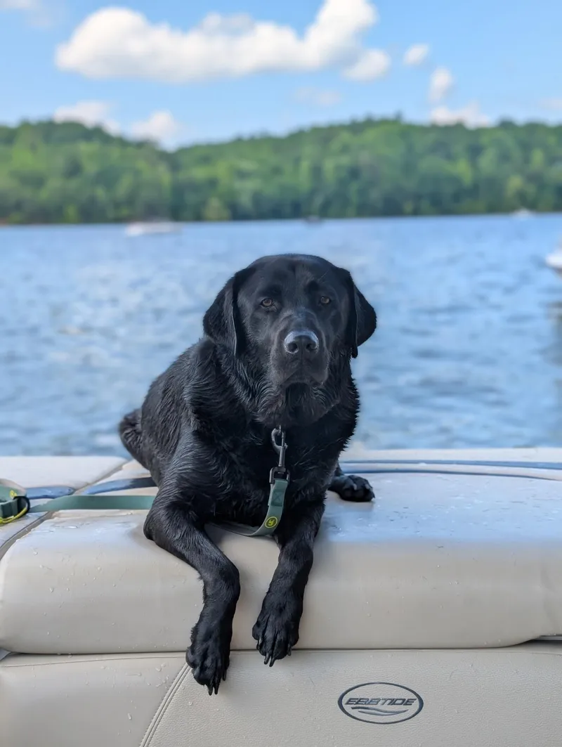Ruger