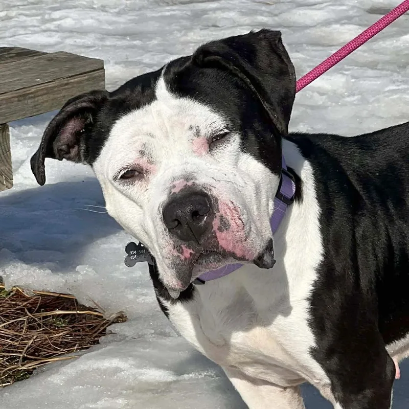 Luna Lee thumbnail 2