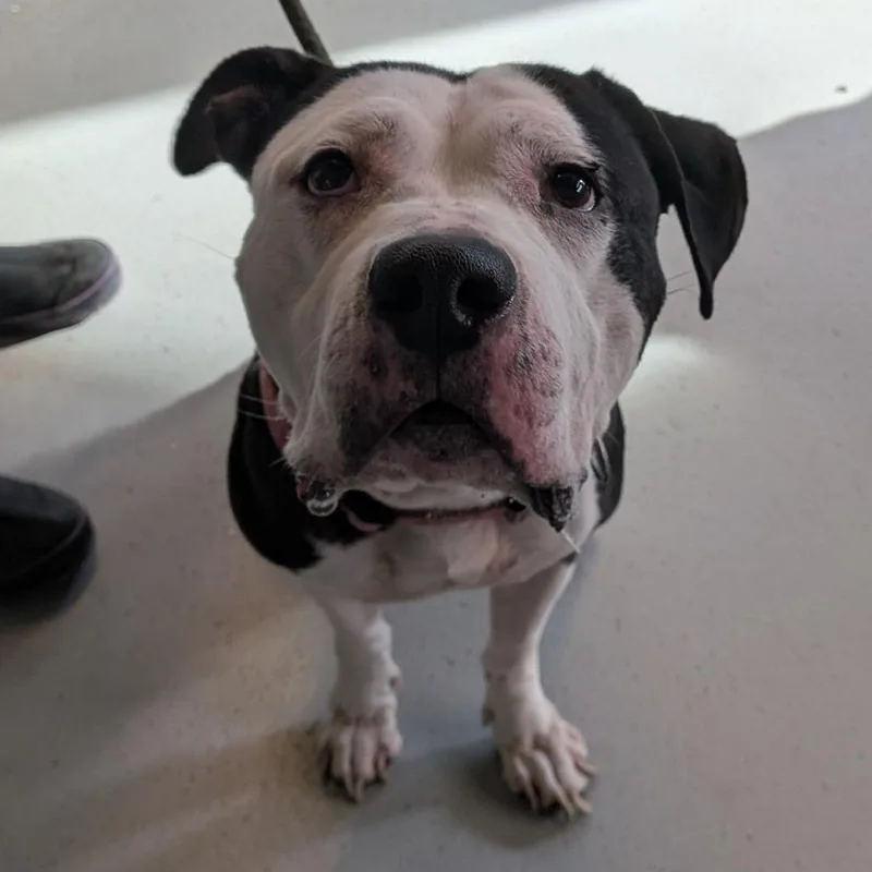 Luna Lee thumbnail 3