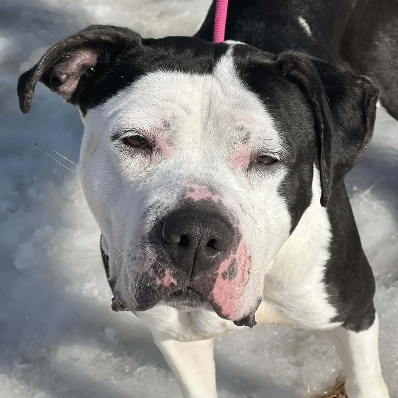 Luna Lee thumbnail 4