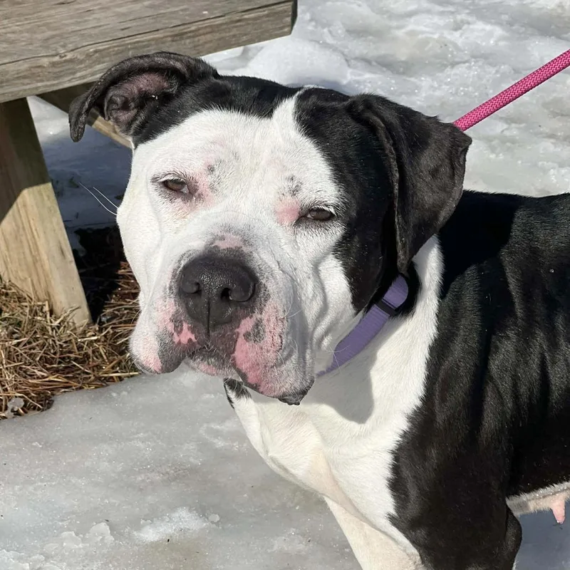 Luna Lee thumbnail 5