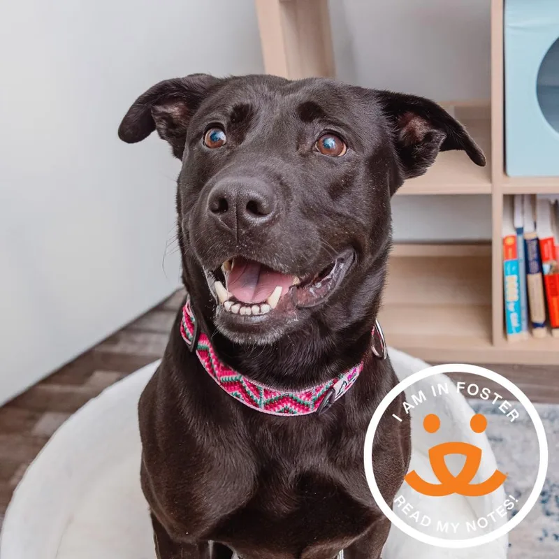 Billie Bones thumbnail 2