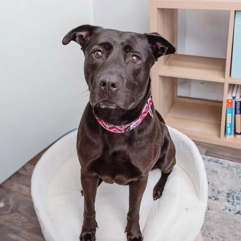 Billie Bones thumbnail 3