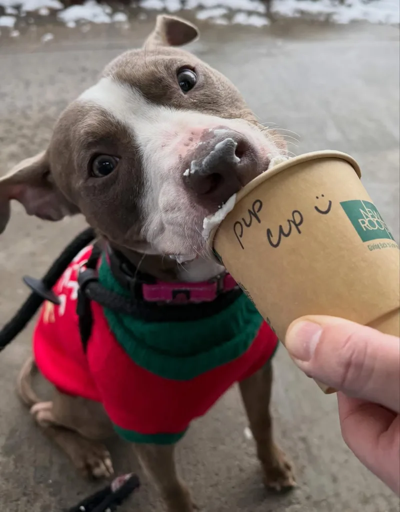 Cindy Lou thumbnail 2