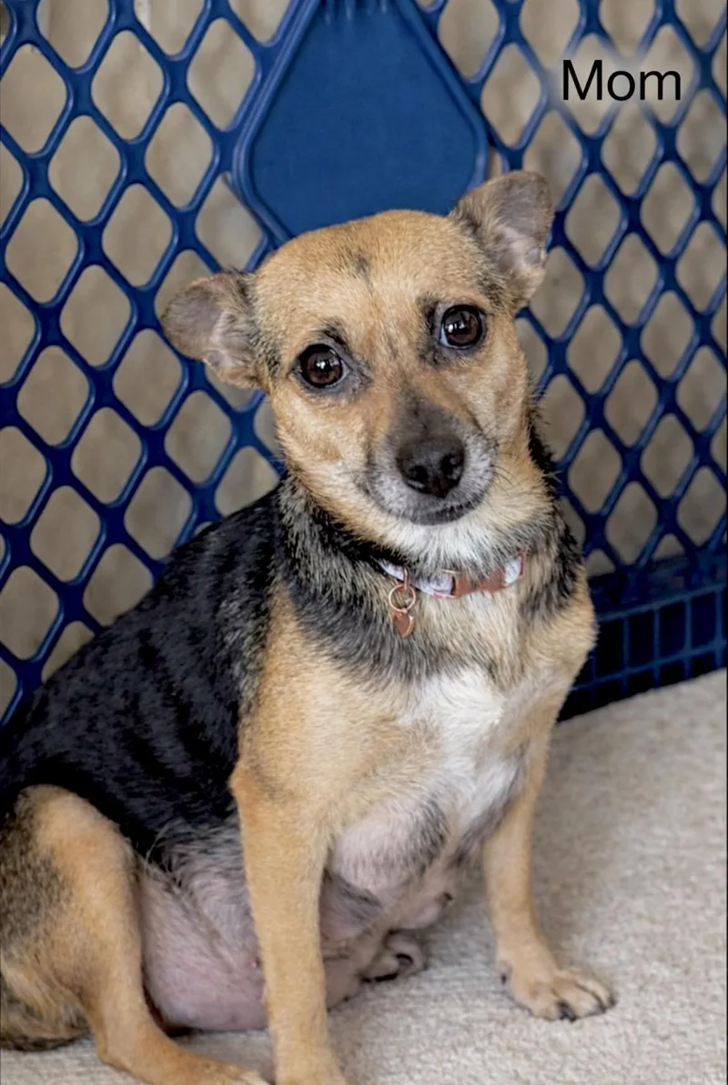 Juliette thumbnail 4