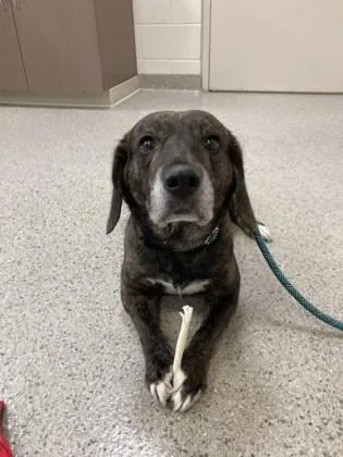 Bark Wahlberg thumbnail 2