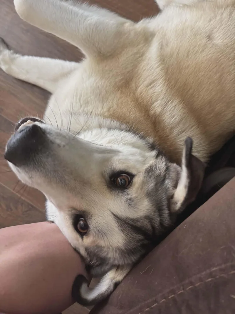 Maggie thumbnail 2