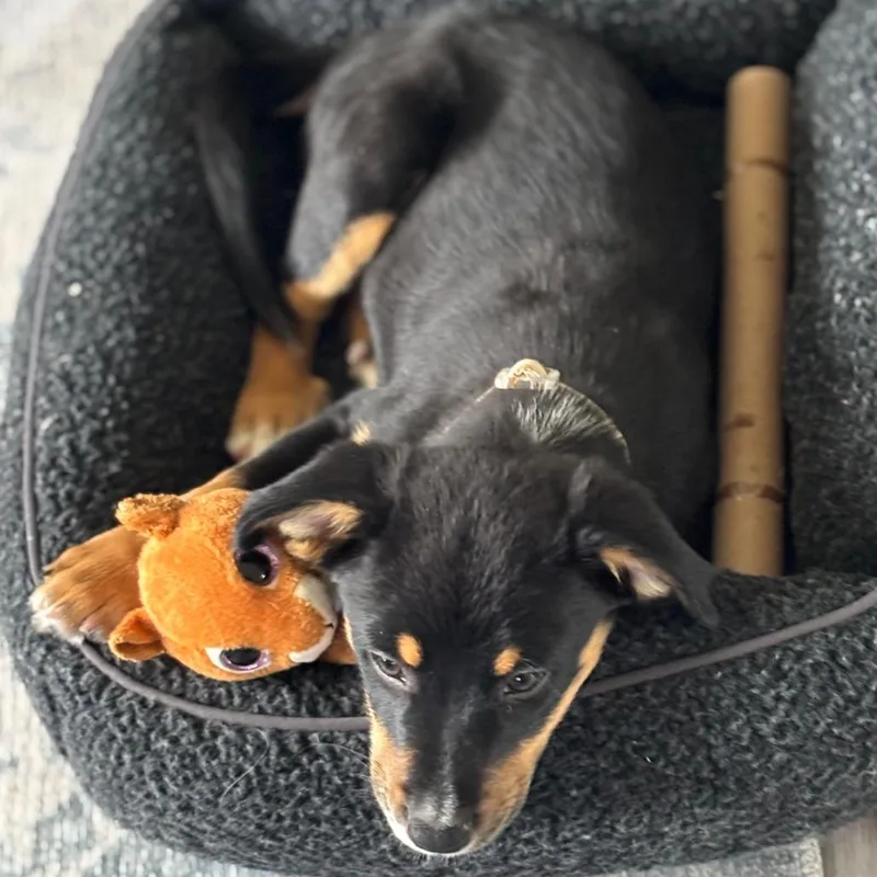 Jameson D thumbnail 2