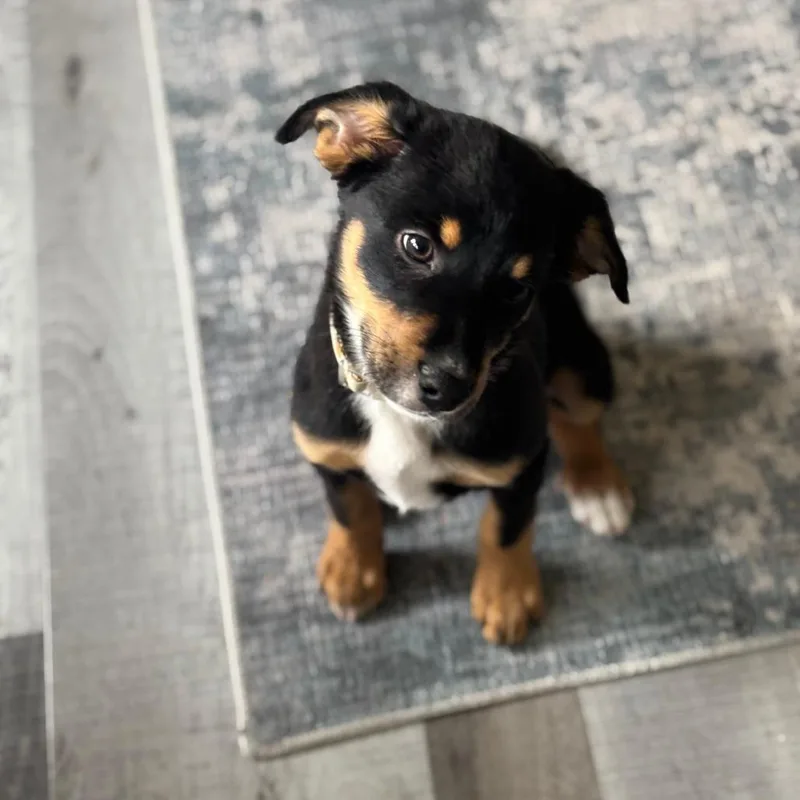 Jameson D thumbnail 3