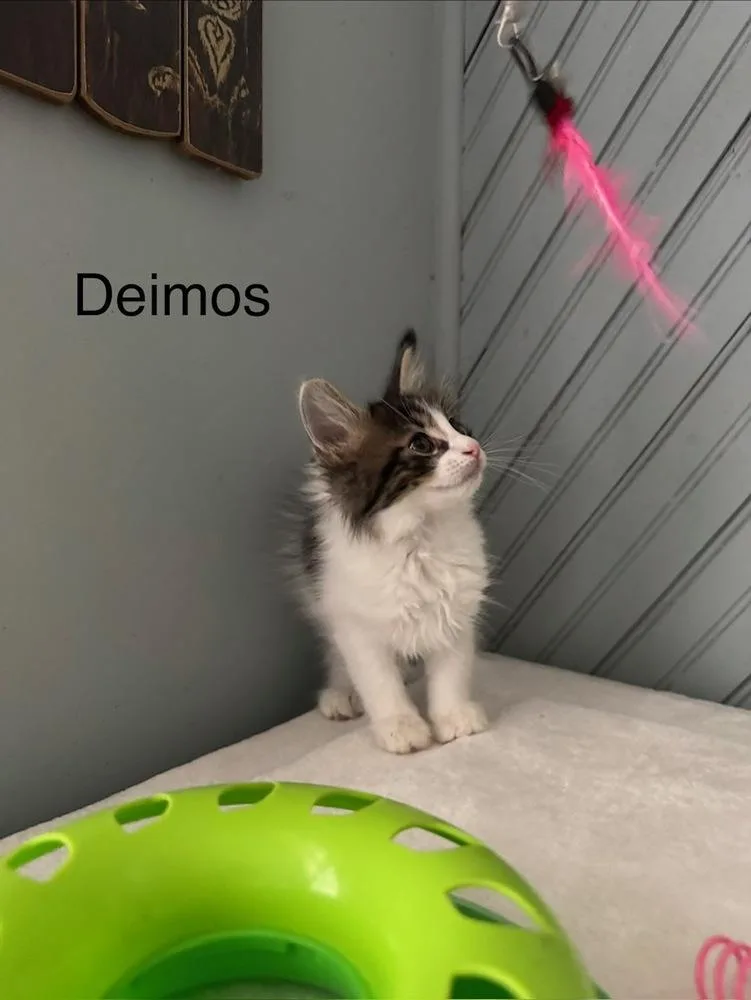 Deimos