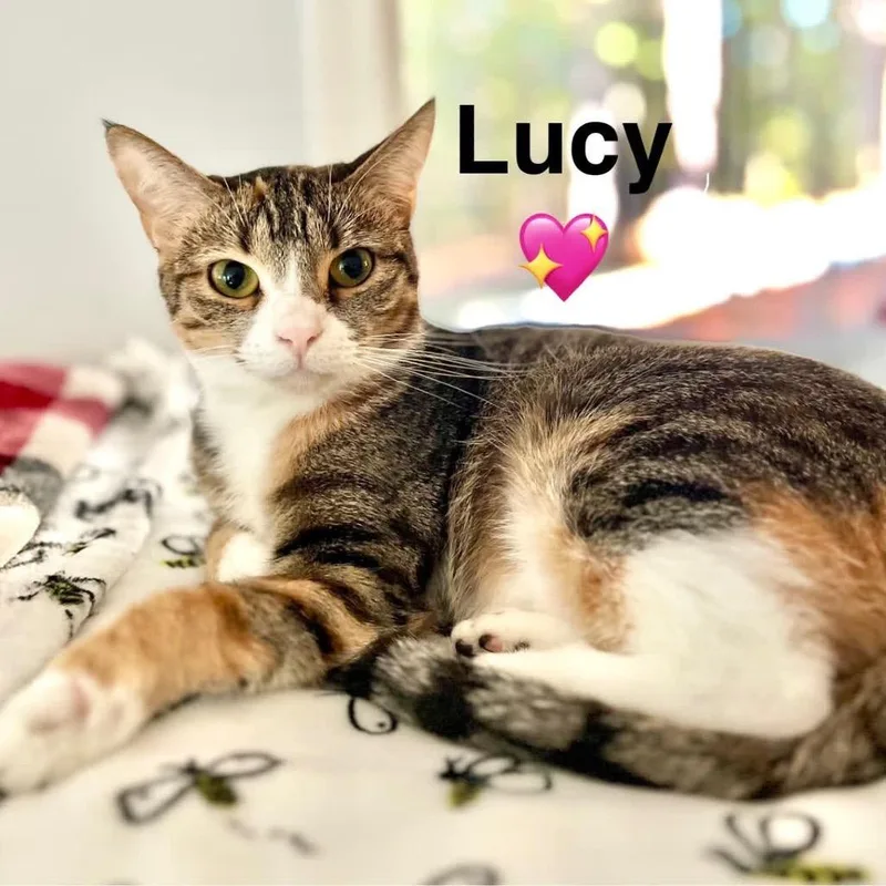 Lucy
