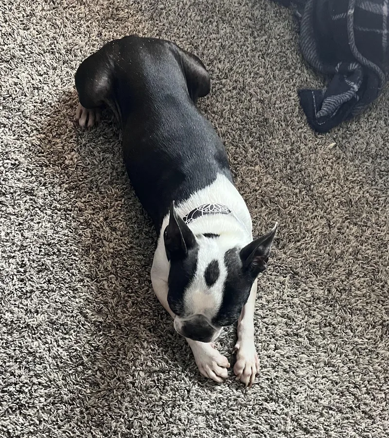 Freddy In Co thumbnail 3