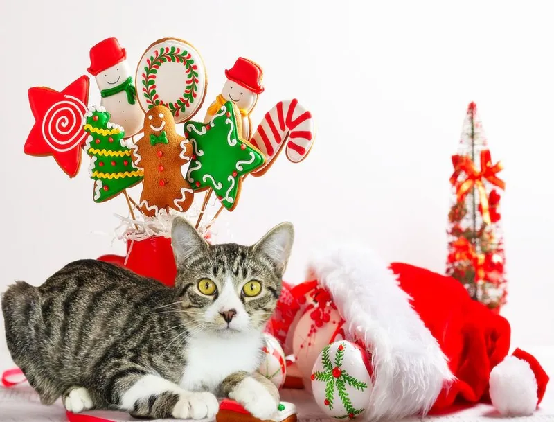 Cinnabon thumbnail 3