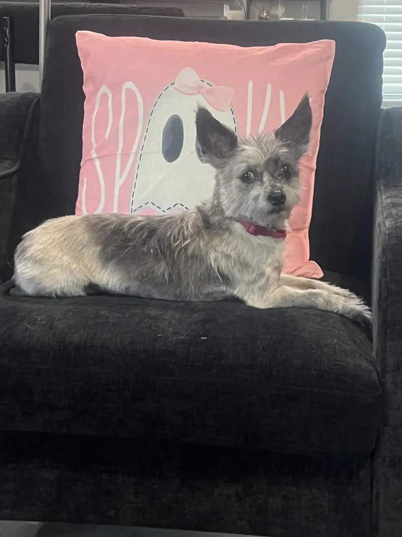 Darla thumbnail 5
