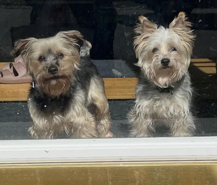 Roxy And Zoey
