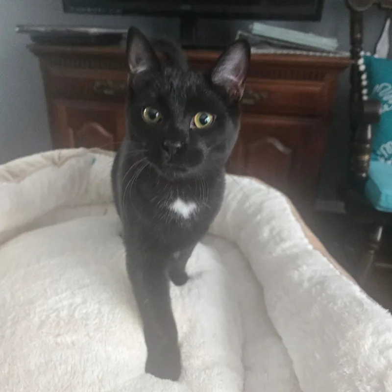 Jackson And Oj thumbnail 5