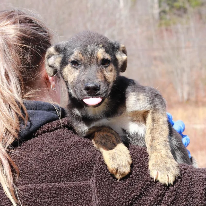 Ct Charades thumbnail 3