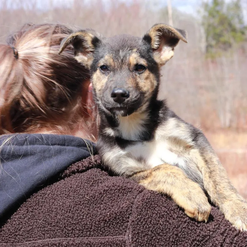 Ct Charades thumbnail 4