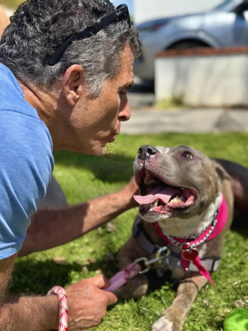 Sweet Bella thumbnail 2