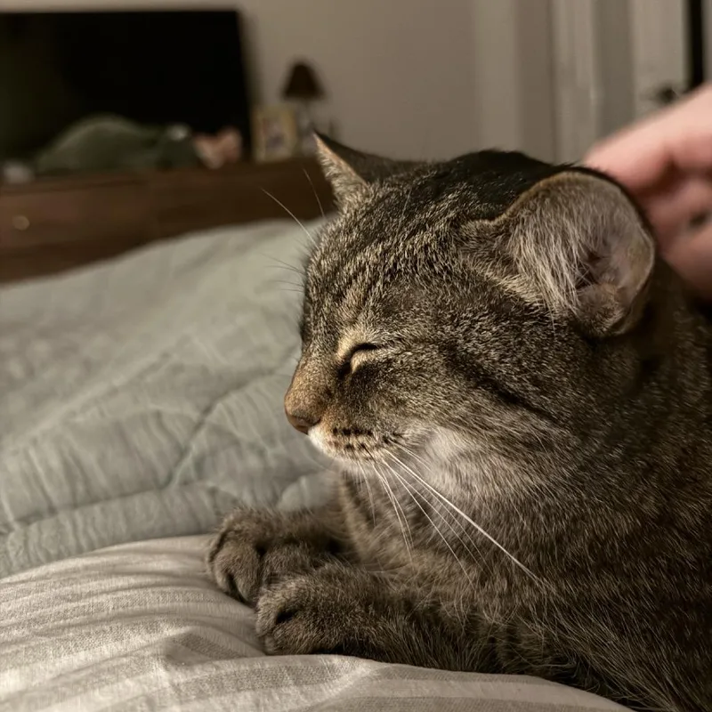 Betty Jo thumbnail 5