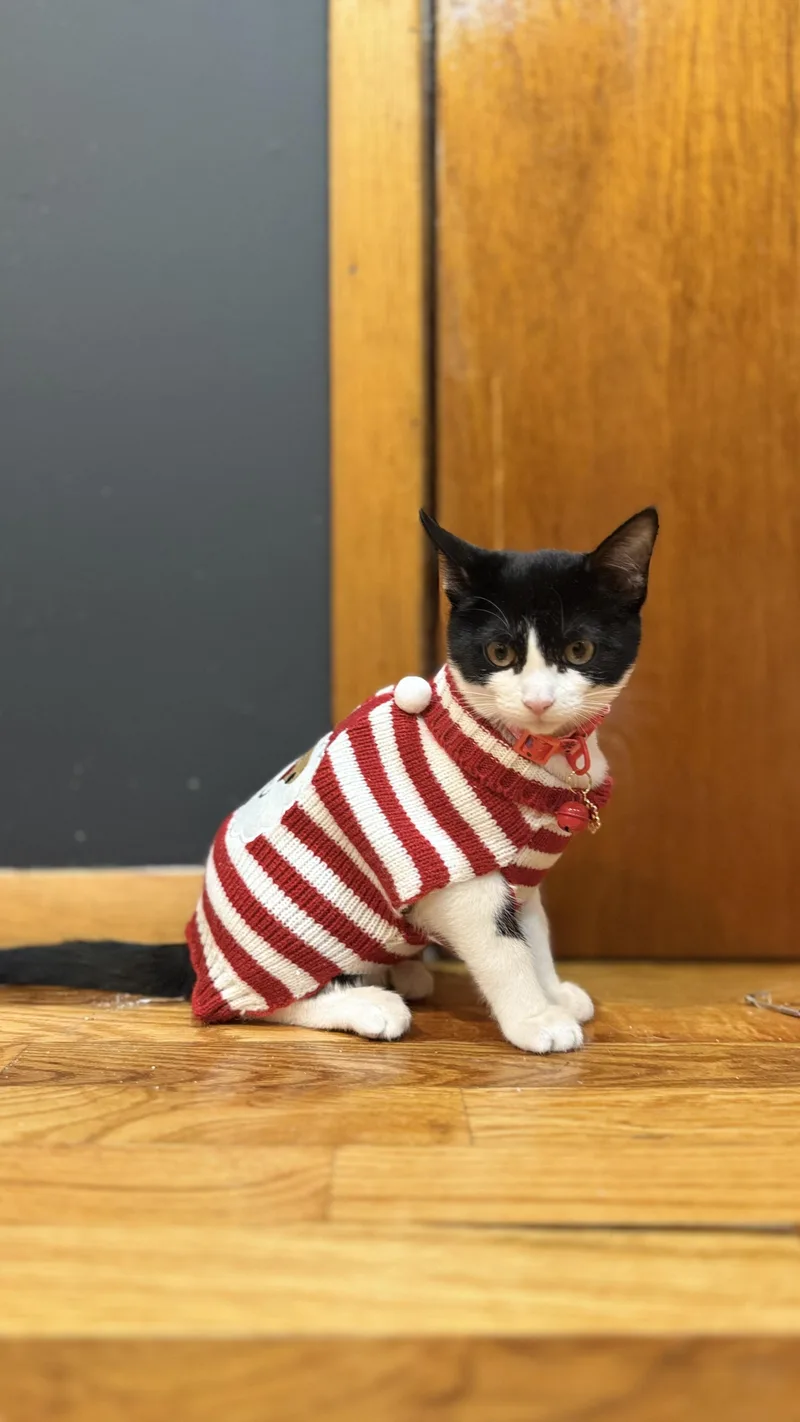 Leona Love thumbnail 3