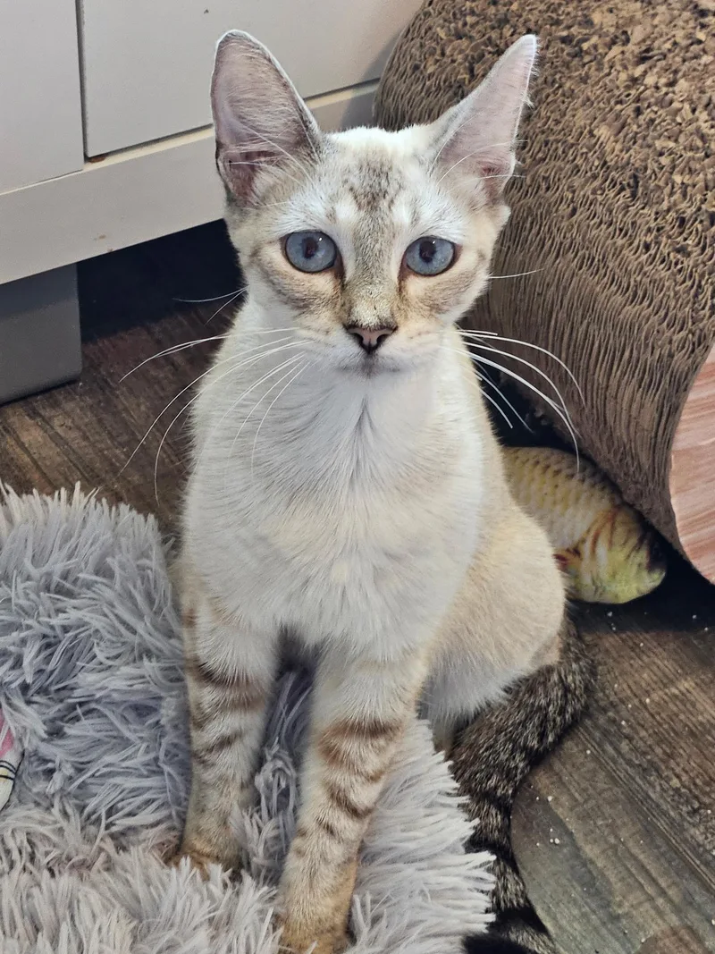 Marlo