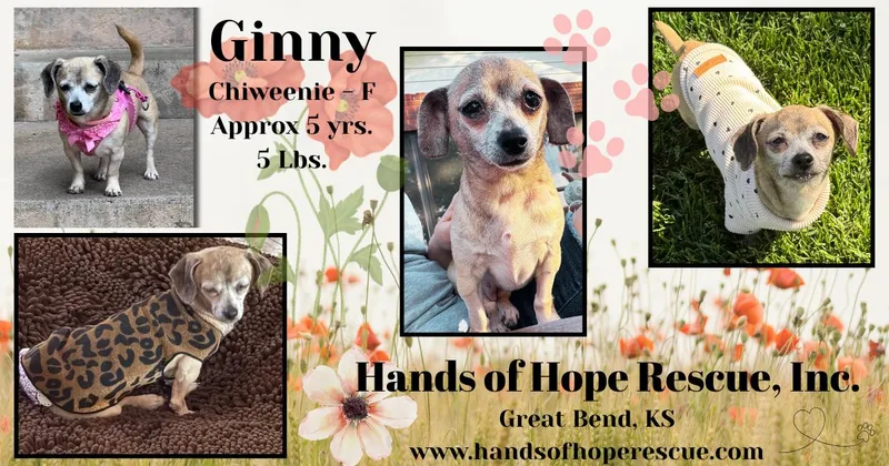 Ginny thumbnail 2