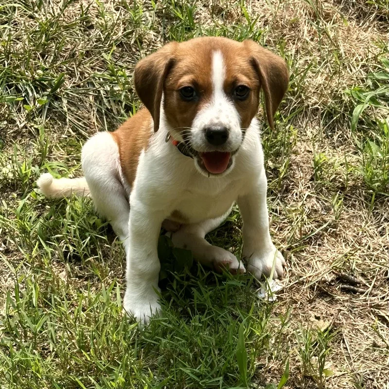 Baby Watson thumbnail 3